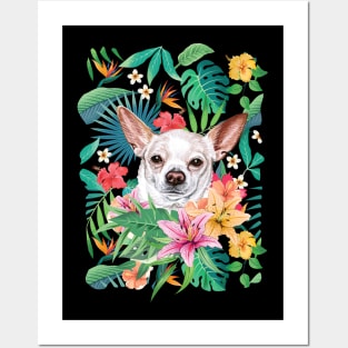 Tropical Short Haired White Chihuahua 2 Posters and Art